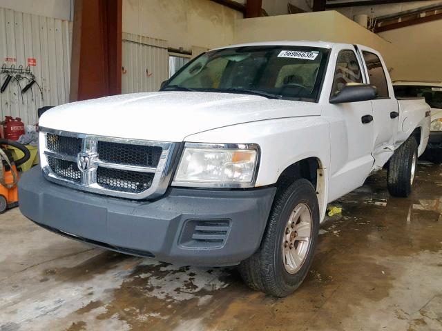 1D7HE38K68S561692 - 2008 DODGE DAKOTA SXT WHITE photo 2