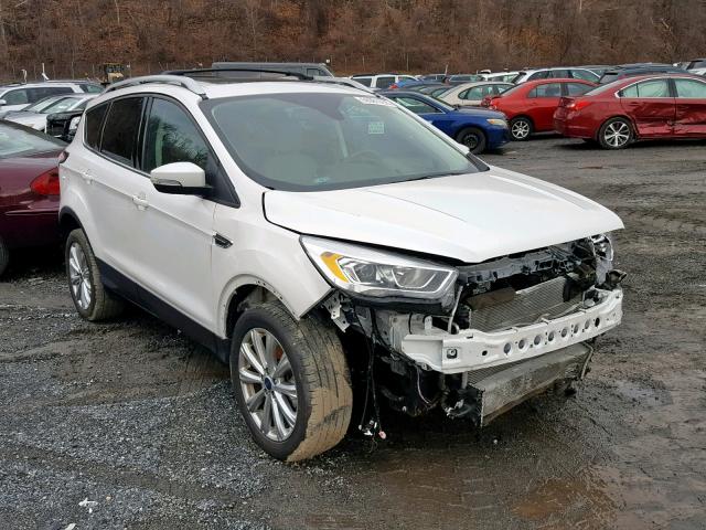 1FMCU9JD5HUB48653 - 2017 FORD ESCAPE TIT WHITE photo 1