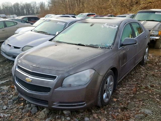 1G1ZC5EB8AF314296 - 2010 CHEVROLET MALIBU 1LT ყავისფერი ფოტო 2