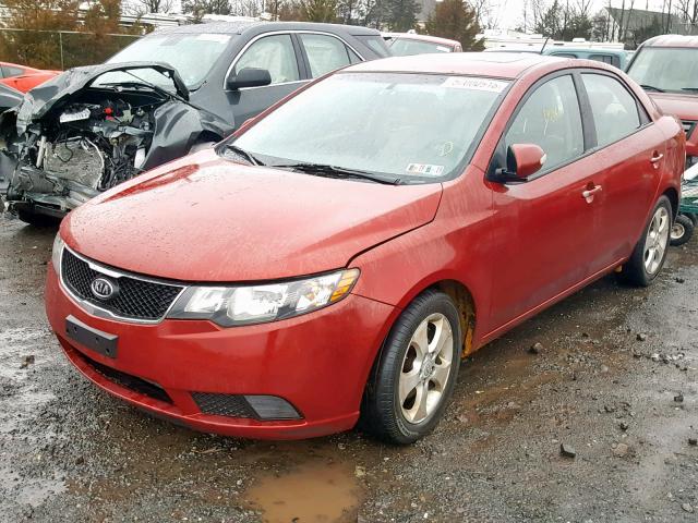 KNAFU4A25A5274415 - 2010 KIA FORTE EX RED photo 2