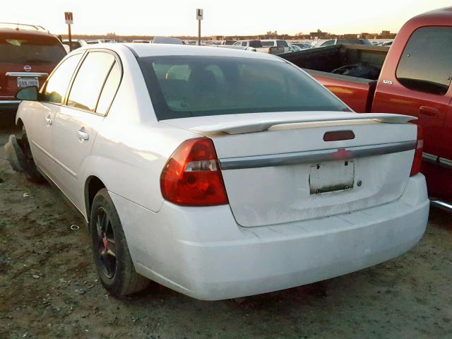 1G1ZT54885F119584 - 2005 CHEVROLET MALIBU LS WHITE photo 3