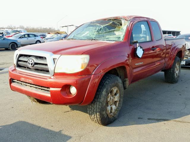 5TETU62N66Z175049 - 2006 TOYOTA TACOMA PRE RED photo 2