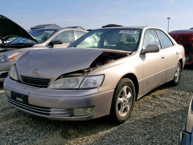 JT8BF22GXV0062217 - 1997 LEXUS ES 300 GOLD photo 2