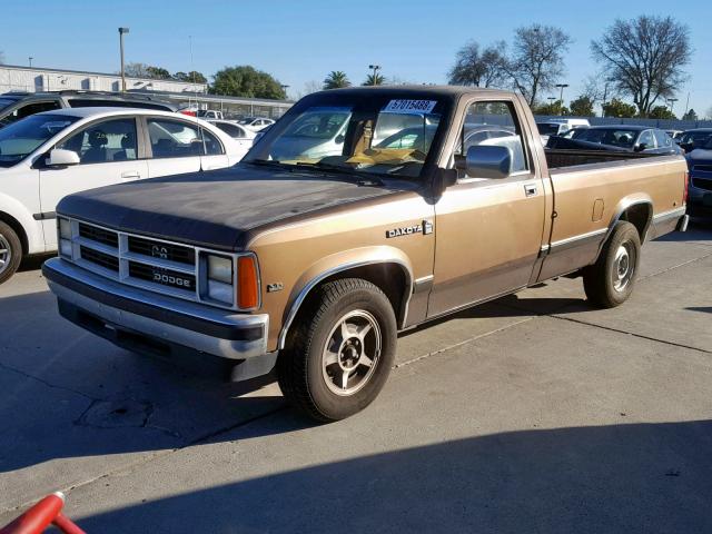 1B7GL26X3KS042580 - 1989 DODGE DAKOTA GOLD photo 2