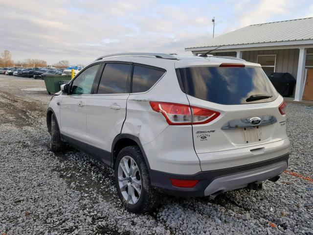 1FMCU9J92FUC25424 - 2015 FORD ESCAPE TIT WHITE photo 3