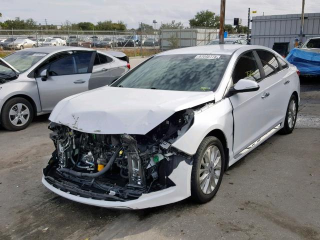 5NPE34AF2FH236460 - 2015 HYUNDAI SONATA SPO WHITE photo 2