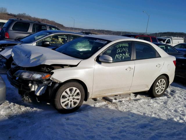 KNAFU4A29B5417724 - 2011 KIA FORTE EX WHITE photo 2