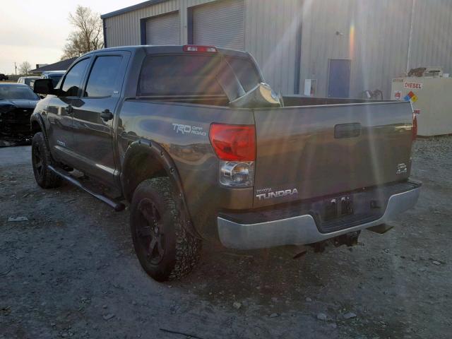 5TBDV54107S470239 - 2007 TOYOTA TUNDRA CRE BROWN photo 3