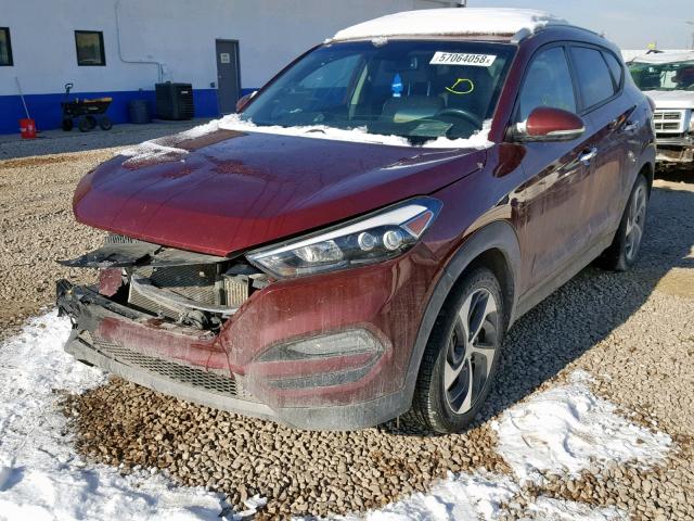 KM8J3CA27GU035887 - 2016 HYUNDAI TUCSON LIM MAROON photo 2