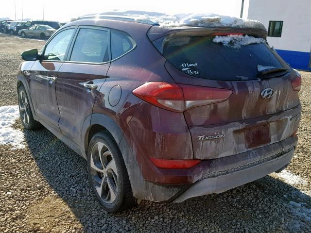 KM8J3CA27GU035887 - 2016 HYUNDAI TUCSON LIM MAROON photo 3