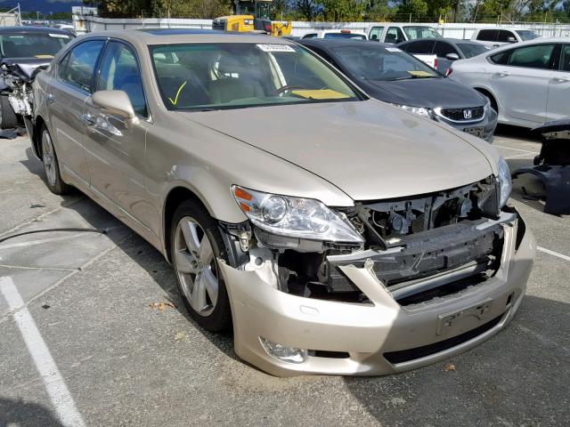 JTHGL5EF3C5045469 - 2012 LEXUS LS 460L GOLD photo 1