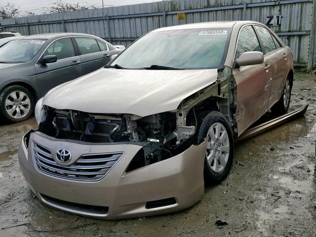 4T1BB46K99U110307 - 2009 TOYOTA CAMRY HYBR TAN photo 2