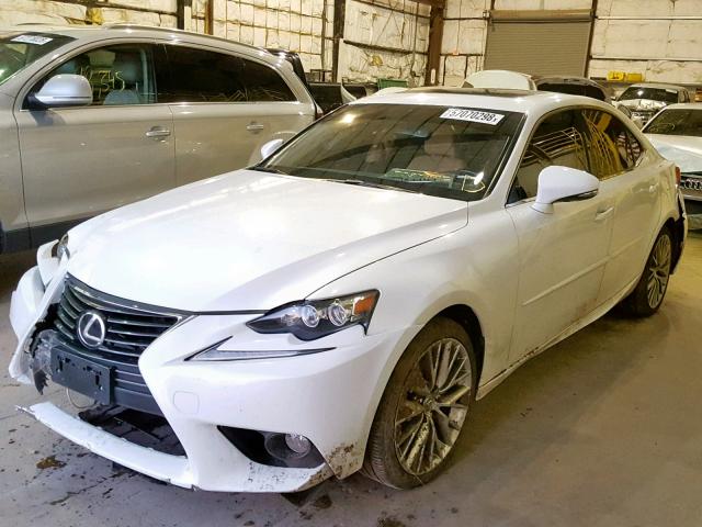 JTHBF1D27E5038682 - 2014 LEXUS IS 250 WHITE photo 2