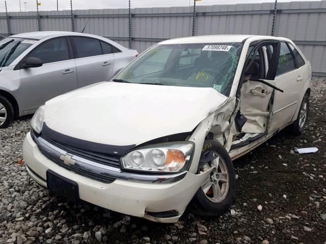 1G1ZT62854F247899 - 2004 CHEVROLET MALIBU MAX WHITE photo 2