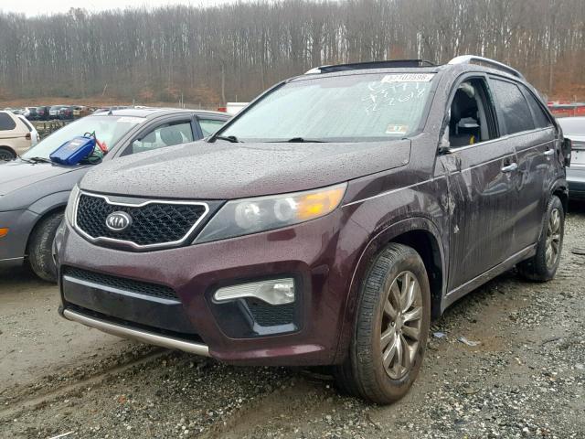 5XYKWDA21BG161677 - 2011 KIA SORENTO SX MAROON photo 2