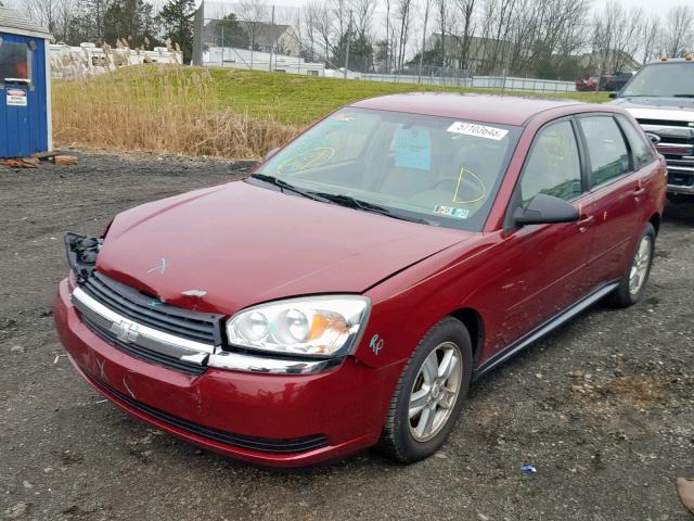 1G1ZT64894F167261 - 2004 CHEVROLET MALIBU MAX 红色 照片 2