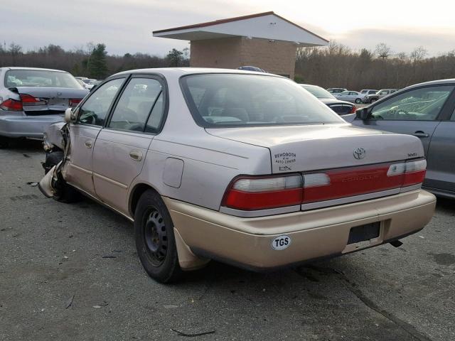 2T1BB02E4TC164258 - 1996 TOYOTA COROLLA DX TAN photo 3