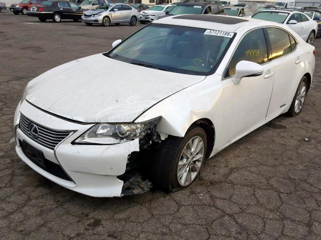 JTHBW1GG5E2045073 - 2014 LEXUS ES 300H WHITE photo 2