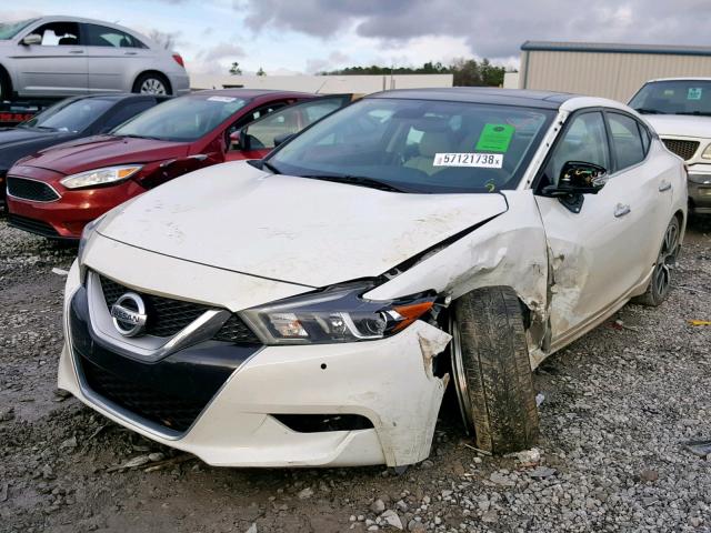 1N4AA6AP2GC392509 - 2016 NISSAN MAXIMA 3.5 WHITE photo 2