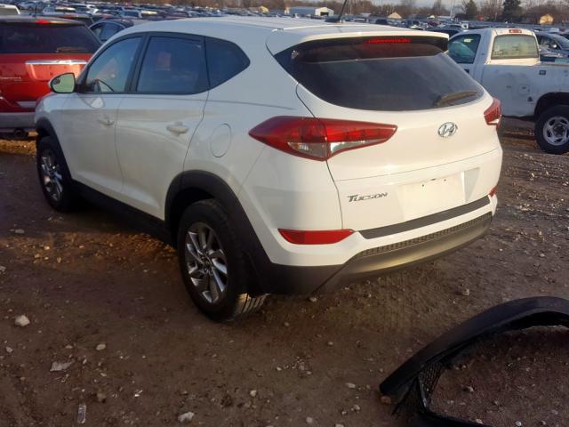 KM8J23A40HU461653 - 2017 HYUNDAI TUCSON SE  photo 3