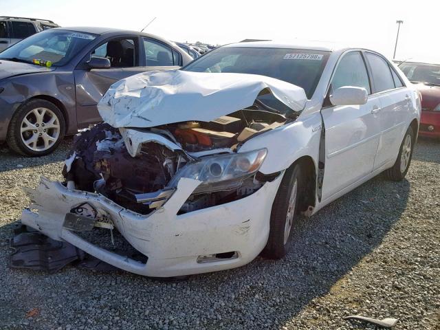 4T1BB46K29U093768 - 2009 TOYOTA CAMRY HYBR WHITE photo 2