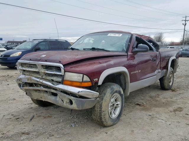 1B7GG22N0YS618398 - 2000 DODGE DAKOTA MAROON photo 2