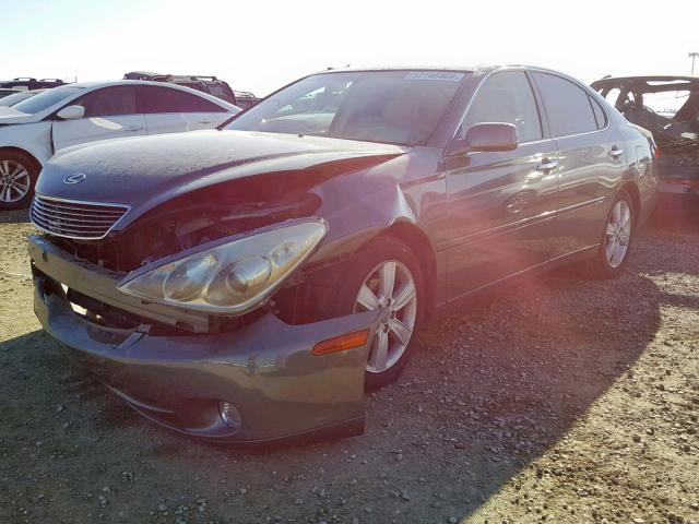 JTHBA30G255086697 - 2005 LEXUS ES 330 GREEN photo 2