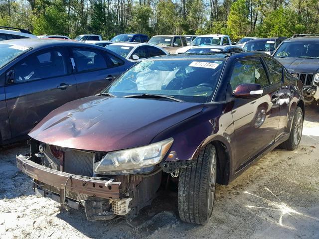 JTKJF5C70B3016587 - 2011 TOYOTA SCION TC მუქწითელი ფოტო 2