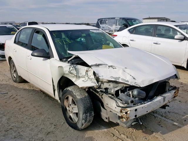 1G1ZT54875F335006 - 2005 CHEVROLET MALIBU LS Ağ foto 1