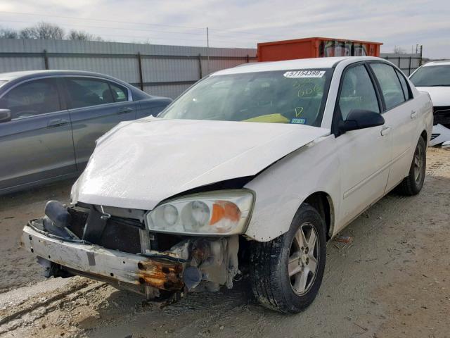 1G1ZT54875F335006 - 2005 CHEVROLET MALIBU LS Ağ foto 2
