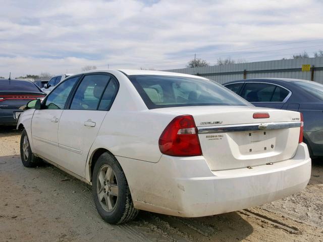 1G1ZT54875F335006 - 2005 CHEVROLET MALIBU LS Ağ foto 3