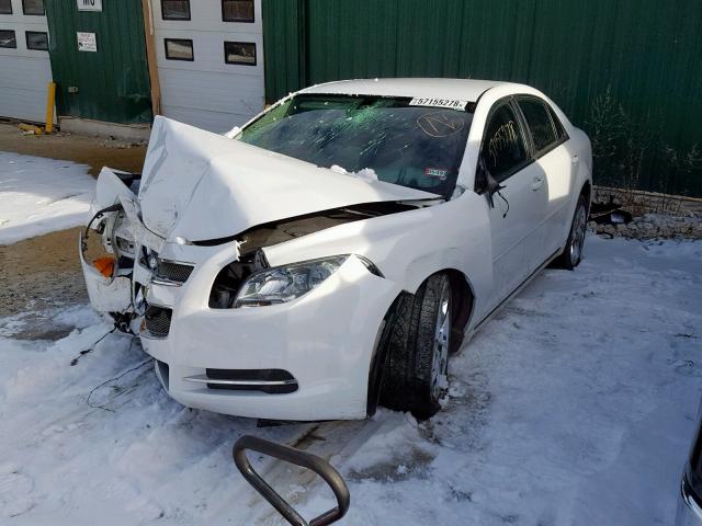 1G1ZH57B99F248786 - 2009 CHEVROLET MALIBU 1LT თეთრი ფოტო 2