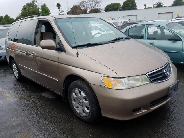 5FNRL18654B029045 - 2004 HONDA ODYSSEY EX  photo 1