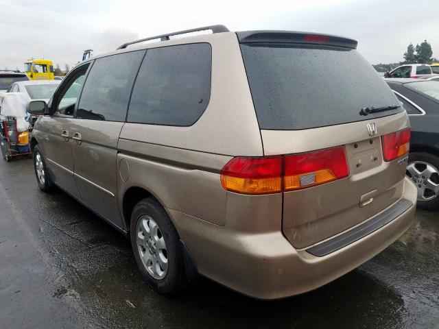 5FNRL18654B029045 - 2004 HONDA ODYSSEY EX  photo 3