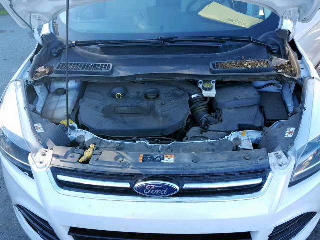 1FMCU0J96EUD94906 - 2014 FORD ESCAPE TIT WHITE photo 7