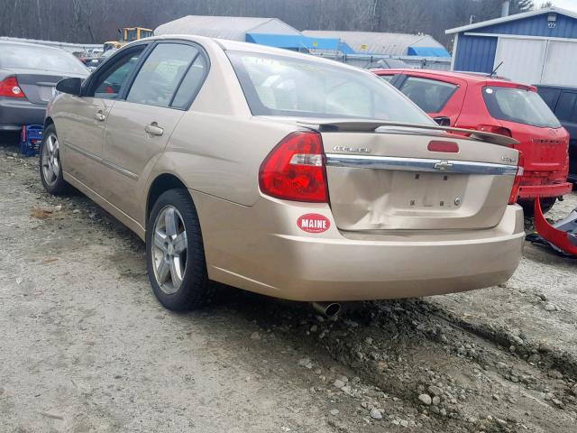 1G1ZU53896F138127 - 2006 CHEVROLET MALIBU LTZ თაფლისფერი ფოტო 3