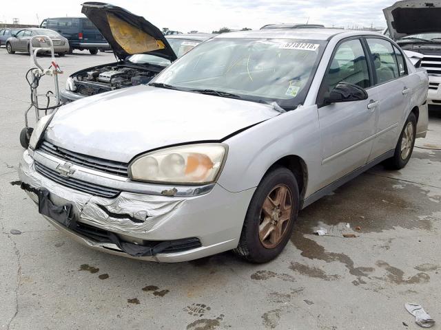 1G1ZT54845F215504 - 2005 CHEVROLET MALIBU LS GRAY photo 2