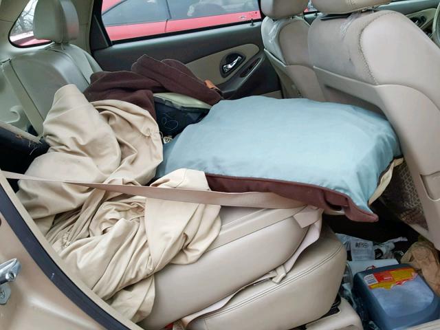 1G1ZU64894F178743 - 2004 CHEVROLET MALIBU MAX ოქროსფერი ფოტო 6