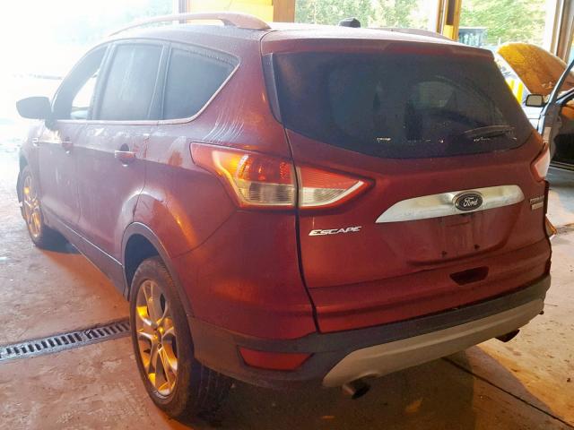 1FMCU0J92EUA71677 - 2014 FORD ESCAPE TIT RED photo 3