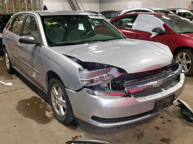 1G1ZT62825F252236 - 2005 CHEVROLET MALIBU MAX SILVER photo 1