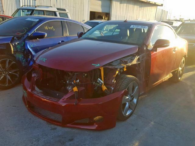 JTHFF2C25B2518046 - 2011 LEXUS IS 250 RED photo 2