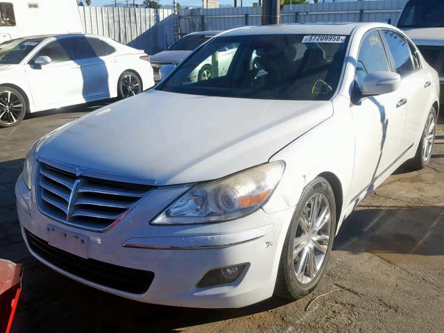 KMHGC46F79U050629 - 2009 HYUNDAI GENESIS 4. WHITE photo 2