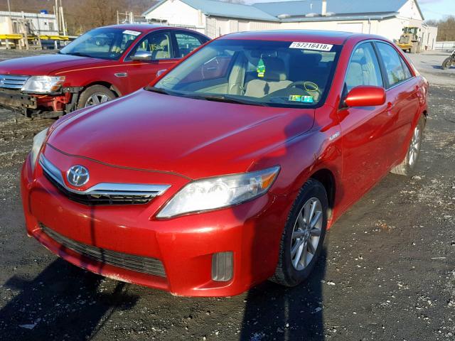 4T1BB3EK3BU137665 - 2011 TOYOTA CAMRY HYBR RED photo 2