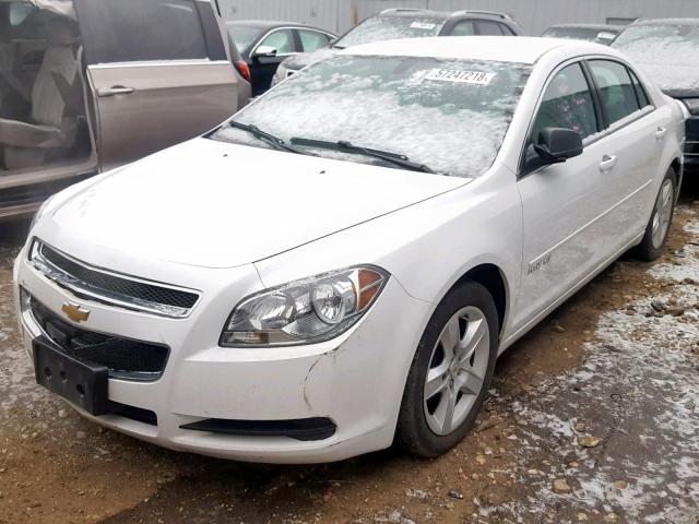 1G1ZA5E05CF394258 - 2012 CHEVROLET MALIBU LS 白色 照片 2