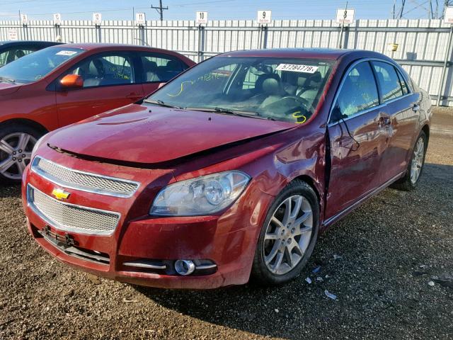 1G1ZE5E79BF243603 - 2011 CHEVROLET MALIBU LTZ BURGUNDY photo 2