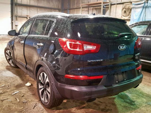 KNDPC3A66D7351597 - 2013 KIA SPORTAGE S BLACK photo 3