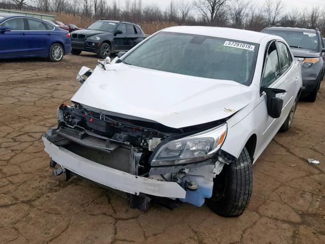 1G11B5SL3EF236948 - 2014 CHEVROLET MALIBU LS Blanco foto 2