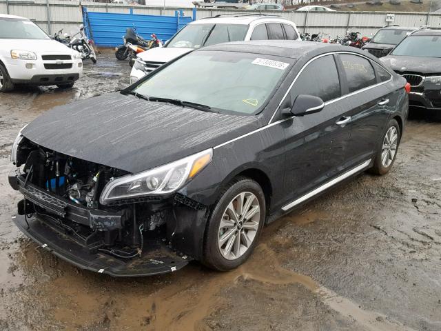 5NPE34AF4HH514486 - 2017 HYUNDAI SONATA SPO BLACK photo 2