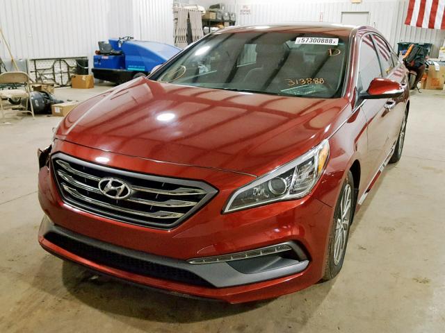 5NPE34AF7GH313888 - 2016 HYUNDAI SONATA SPO MAROON photo 2