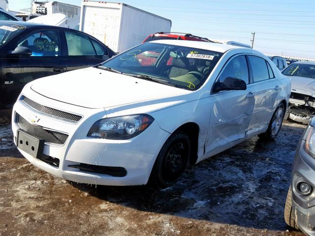 1G1ZB5E13BF293644 - 2011 CHEVROLET MALIBU LS WHITE photo 2